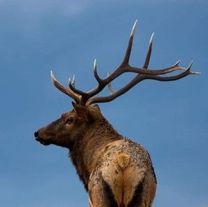 Meet your Posher, Andy